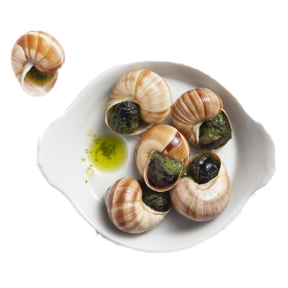 12 Extra Large Helix Escargots